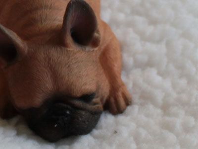 Reseña: Mr.Z 1:6 Animal Toys Sleeping French Bulldog