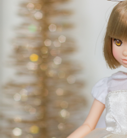 Photos of December