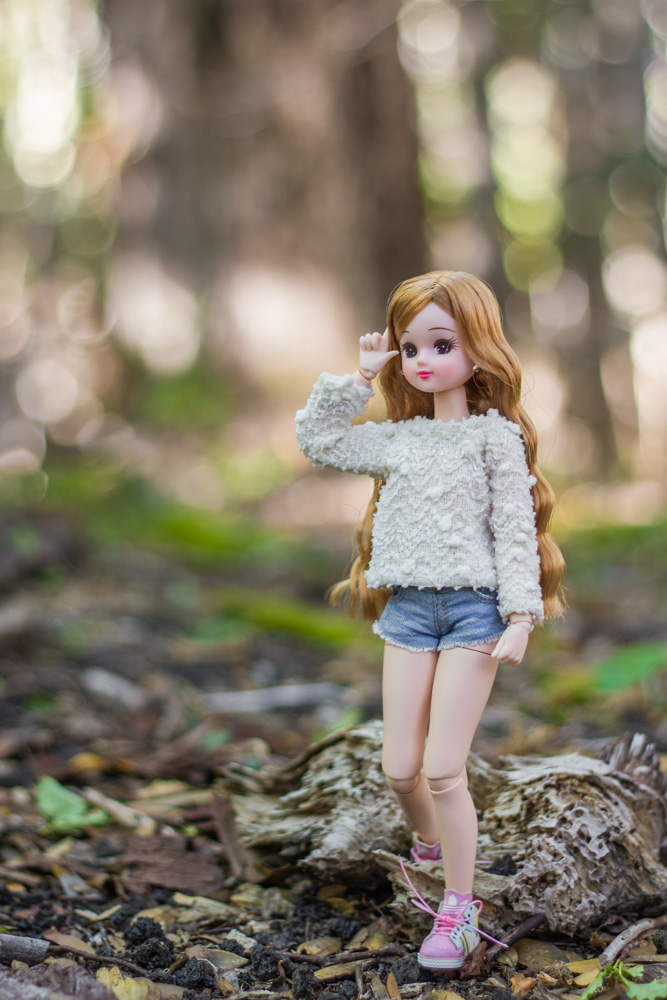 Licca in a forest in southern Chile, 2019.
