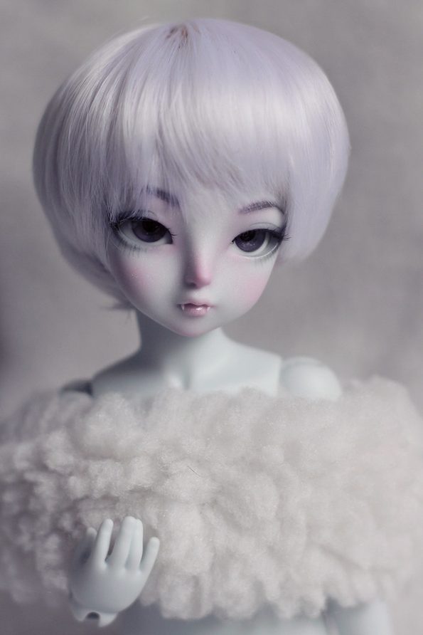 Grey skin YoSD with grey face up.